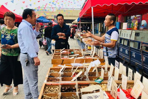 最會(huì)生活的湘潭人,都來(lái)這里趕最過(guò)癮的集 岳塘國(guó)際商貿(mào)城趕集匯第二期,明日見(jiàn)